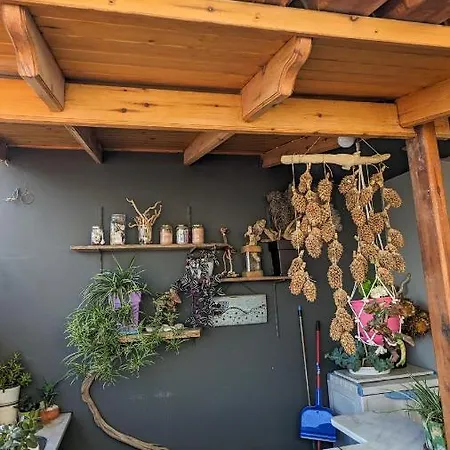 Grey's House 아파트
